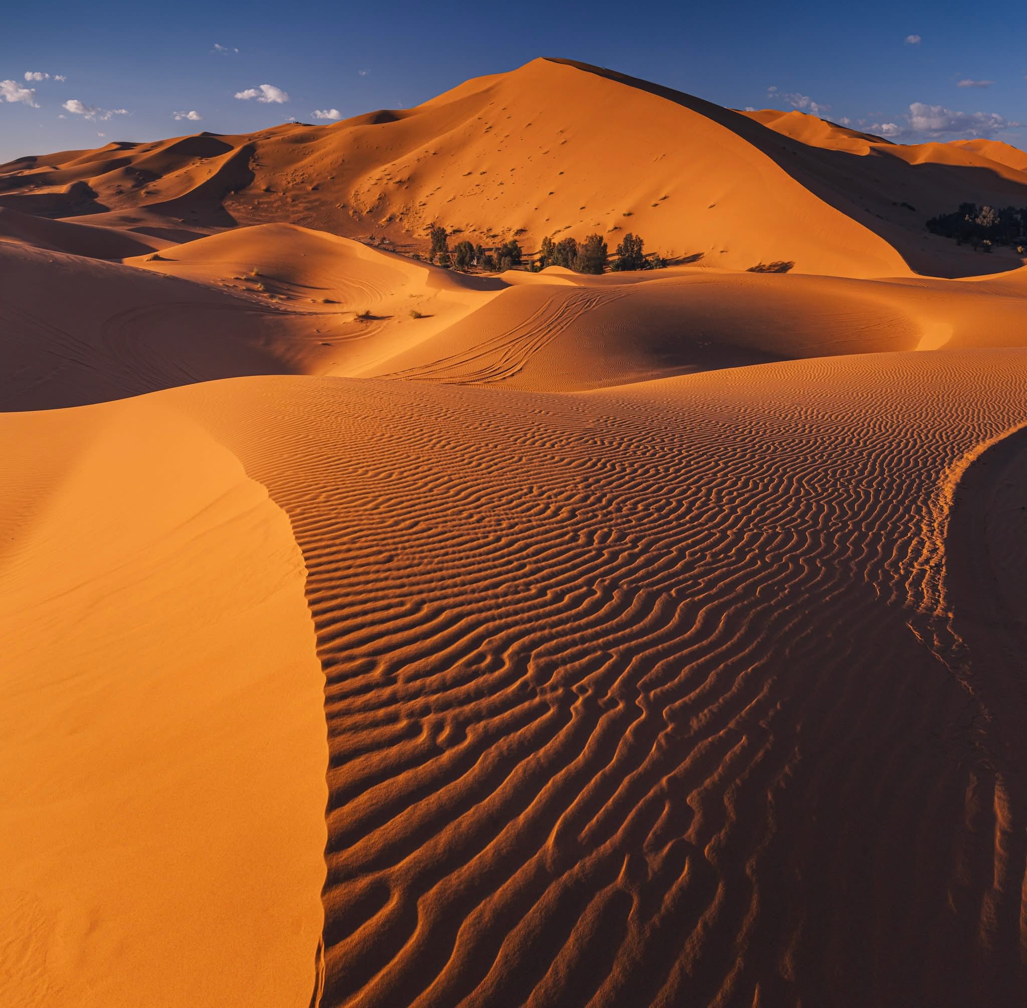 Nuit sous les étoiles dans le Sahara